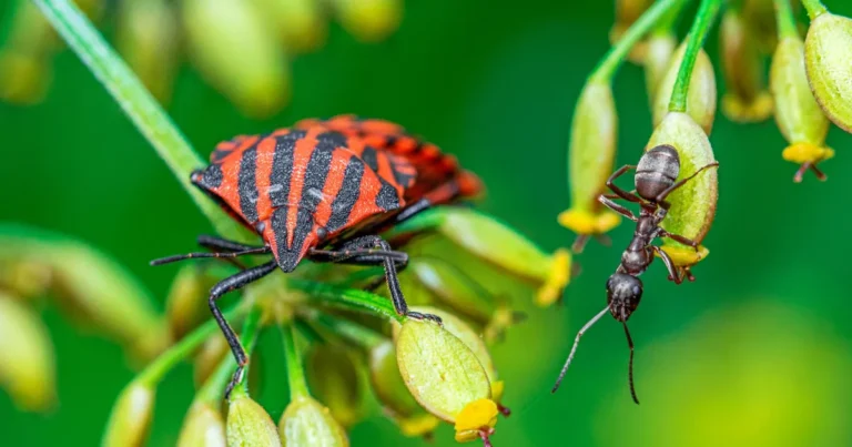 Nature’s Tiny Powerhouse Secrets