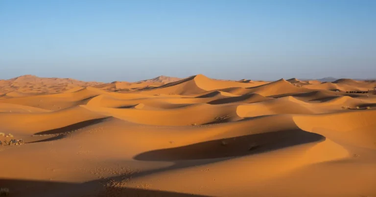 Survival Misconceptions in Desert Environments