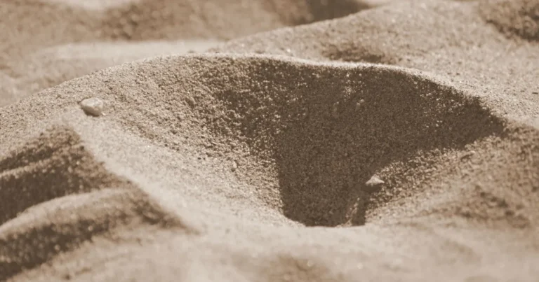 The Science of Escaping Quicksand